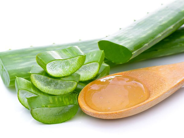 கசப்பான உணவுகள்