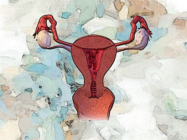 4. சூலகங்களில் (Ovaries) பாதிப்புகளை ஏற்படுத்துதல்