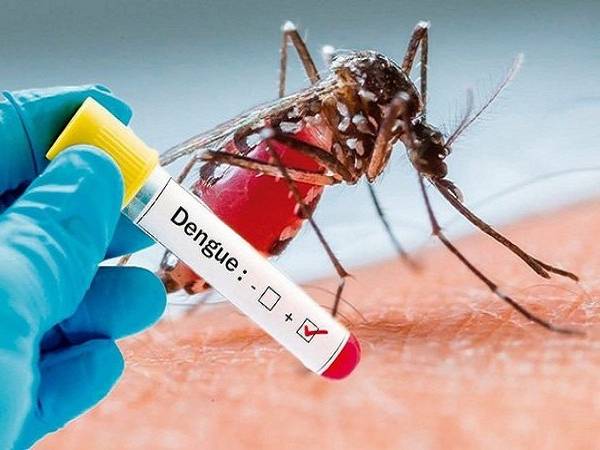 இந்த மாதிரி அறிகுறிகள் இருந்தா? அது உங்க உயிருக்கு ஆபத்தான டெங்குவோட அறிகுறியாம்...!