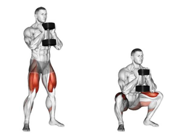 2. டம்பெல் கோப்லெட் ஸ்குவாட் (Dumbbell Goblet Squat)