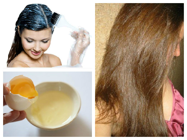 Egg And Coconut Based Hair Masks for Hair Problems in Tamil Egg And Coconut Based Hair Masks for Hair Problems in Tamil