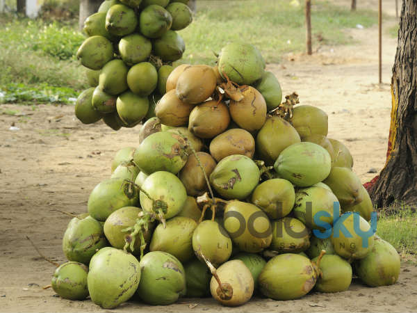 இந்த பிரச்சனை இருந்தா இளநீர் குடிக்காதீங்க... இல்லன்னா உயிருக்கே ஆபத்தாயிடுமாம்... உஷார்...