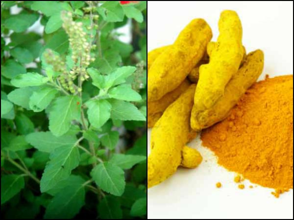 துளசி, மஞ்சள் மற்றும் கருப்பு மிளகு எப்படி சாப்பிடுவது?