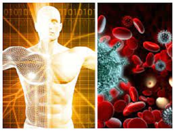 உங்க நோயெதிர்ப்பு சக்தியை அதிகரிச்சி கொரோனாவிலிருந்து பாதுகாக்க இந்த ஆயுர்வேத வழிகளை ஃபாலோ பண்ணுங்க!