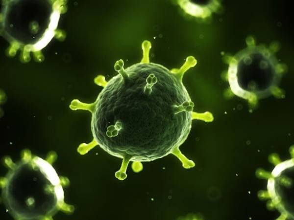 கொரோனாவை விட அதிக மரணத்தை உண்டாக்கும் திறன் கொண்ட புதிய வைரஸ் - எச்சரிக்கும் சீன விஞ்ஞானிகள்