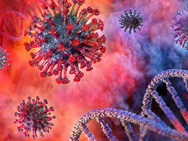 Lassa Fever: இங்கிலாந்தில் பரவும் லஸ்ஸா காய்ச்சல் - அதன் அறிகுறிகள் என்ன? எப்படி பரவுகிறது?