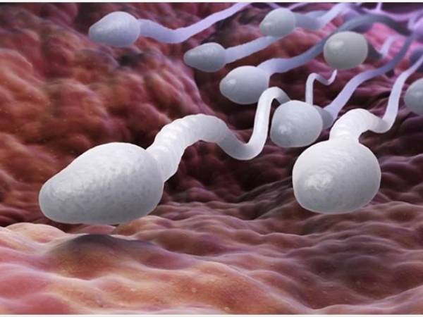 ஆண்களுக்கு மலட்டுத்தன்மையை ஏற்படுத்தும் ஹைப்பர்ஸ்பெர்மியா - இதன் அறிகுறிகள் என்ன?