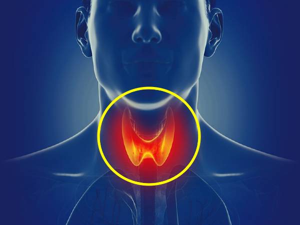 தைராய்டு பிரச்சனை வரக்கூடாதா? அப்ப இந்த உணவுகளை கொஞ்சம் அதிகமா சாப்பிடுங்க...