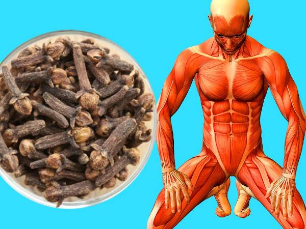 உங்கள் உடல் எடையை வேகமாக குறைக்க கிராம்புவை தினமும் இத்தனை சாப்பிடுங்க போதும்...!