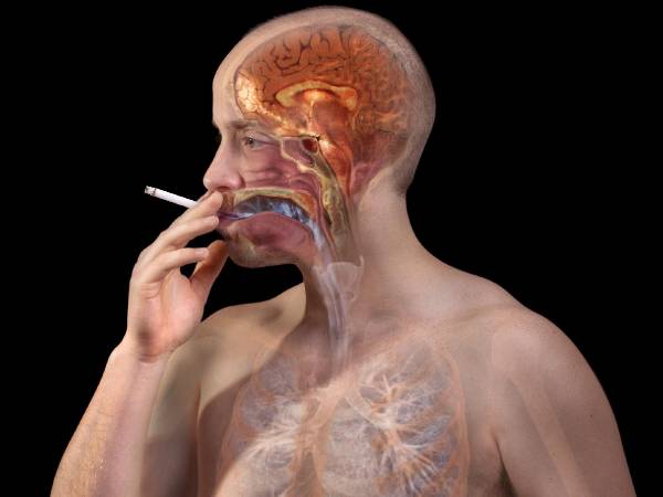 சிகரெட் பிடிப்பது புற்றுநோயை மட்டுமல்ல இந்த கொடூரமான நோய்களையும் ஏற்படுத்துதாம்... உஷாரா இருங்க...!