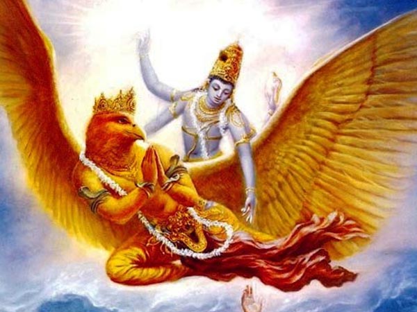 கருடனின் கேள்விகள்