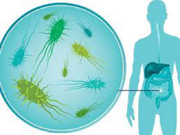 இந்த 5 பொருட்களை கொண்டு செய்த கோடைகால பானம் உங்களுக்கு என்னென்ன அதிசயங்களை செய்கிறது தெரியுமா?