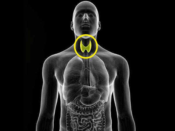தைராய்டு பிரச்சனை இருக்கா? அப்ப இந்த பானங்களை அடிக்கடி குடிங்க...