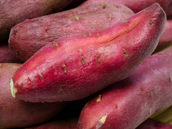 சர்க்கரைவள்ளிக் கிழங்கு
