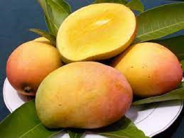 மாம்பழத்தின் மற்ற நன்மைகள்