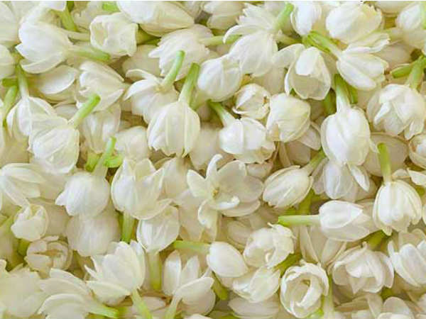 மல்லிகை