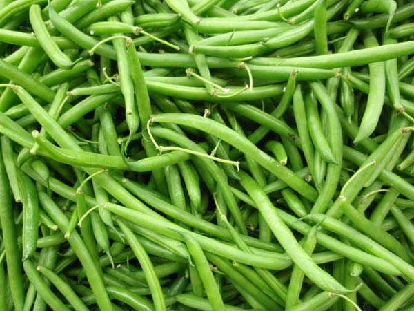 பீன்ஸ்
