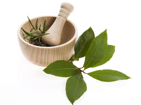 அதிமதுரம் இலைகள்