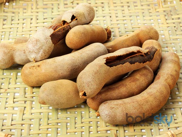 புளி