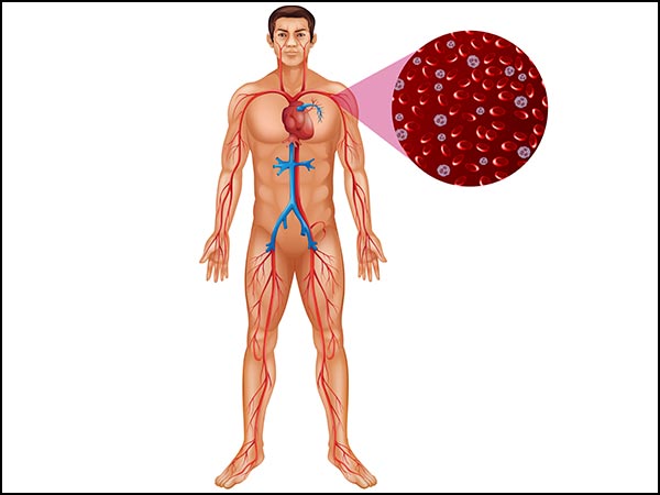 உங்க உடலில் எல்லா உறுப்புகளுக்கும் ஆக்சிஜன் ஒழுங்கா கிடைக்க இந்த உணவுகளை சாப்பிடுங்க... இல்லனா கஷ்டம்தான்!