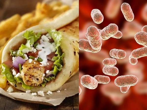 கேரள மாணவியின் உயிரைப் பறித்த சிக்கன் ஷவர்மா.. இதில் உள்ள ஷிகெல்லா அவ்வளவு கொடிய பாக்டீரியாவா?