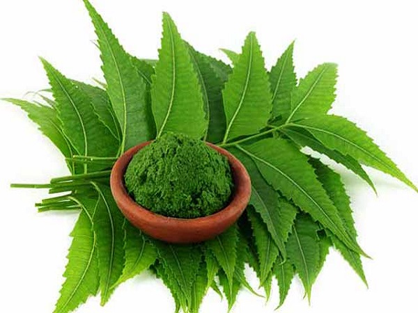 வேப்ப இலை விழுது அல்லது வேப்பம்பூ கலந்த நீர்