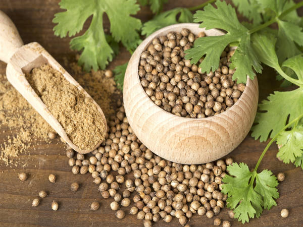 கொத்தமல்லி