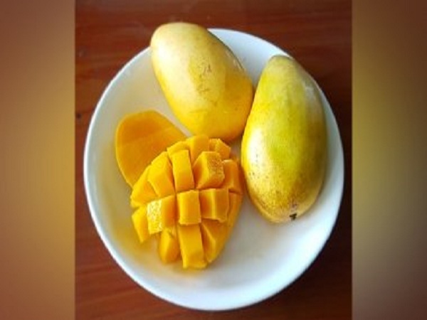 உங்கள் பகுதிகளைக் கட்டுப்படுத்தவும்