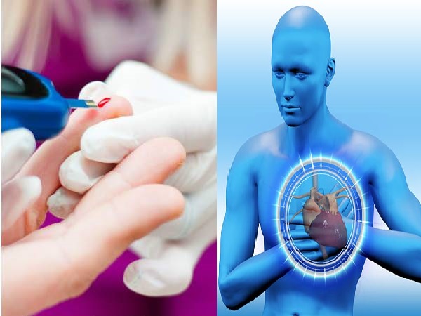 உங்க இதயத்தை பாதுகாக்கவும் சர்க்கரை நோயை கட்டுப்படுத்தவும் இந்த ஒரு பொருள் போதுமாம் தெரியுமா?