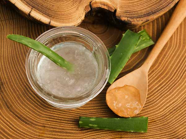 தயிர் மற்றும் கற்றாழை