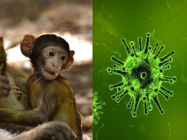 யாருக்கெல்லாம் குரங்கு அம்மை வருவதற்கான வாய்ப்பு அதிகம் உள்ளது தெரியுமா?