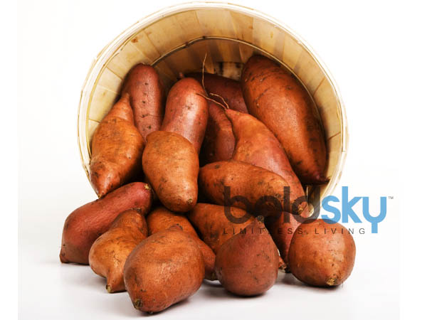 சர்க்கரைவள்ளிக் கிழங்கு