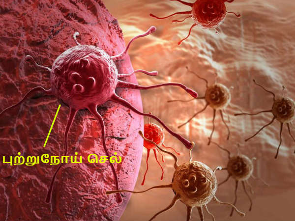 ஆண் & பெண் இரண்டு பேரில் யாருக்கு புற்றுநோய் வரும் ஆபத்து அதிகம்... ஆய்வு சொல்லும் அதிர்ச்சி முடிவு!