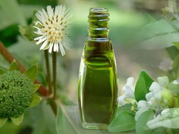 முடி வளர்ச்சியைத் தூண்டுகிறது