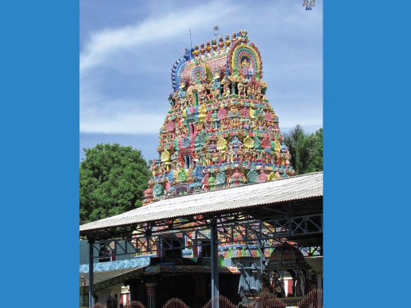 ஆபத்தை தடுக்க என்ன செய்வது?