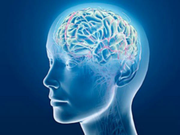 ஆக்ஸிஜனேற்ற சேதத்தைத் தவிர்க்க ஆக்ஸிஜனேற்றிகள்