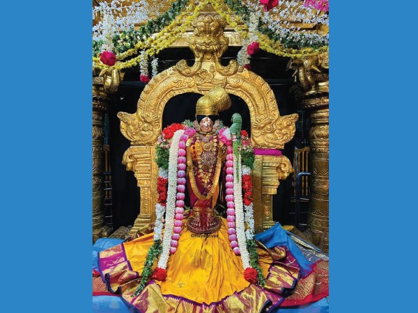 சிறப்புகள்