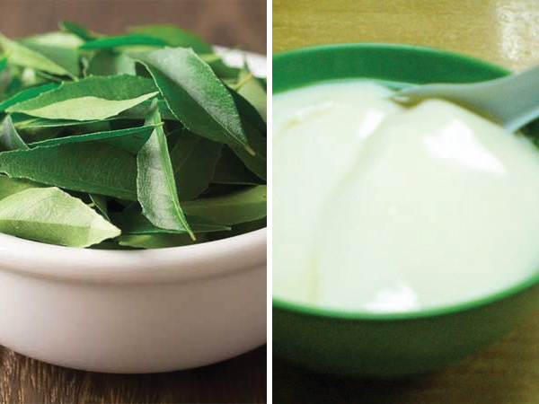 தயிர் மற்றும் கறிவேப்பிலை