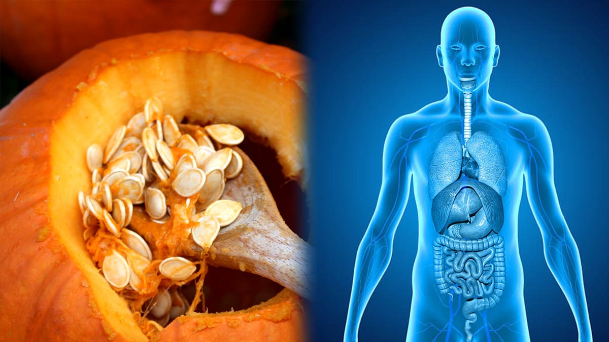 தினமும் ஒரு கையளவு பூசணி விதைகளை சாப்பிட்டால் என்னென்ன நன்மைகள்