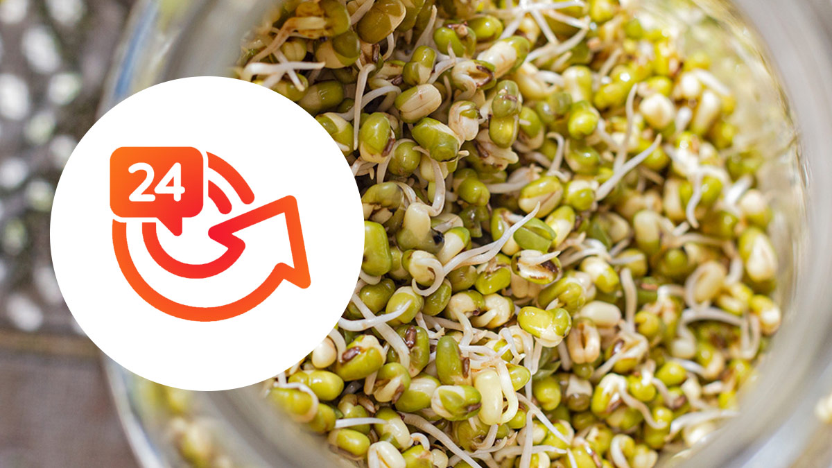 தினமும் ஒரு கையளவு முளைக்கட்டிய பச்சை பயறு சாப்பிடுவதால் கிடைக்கும்