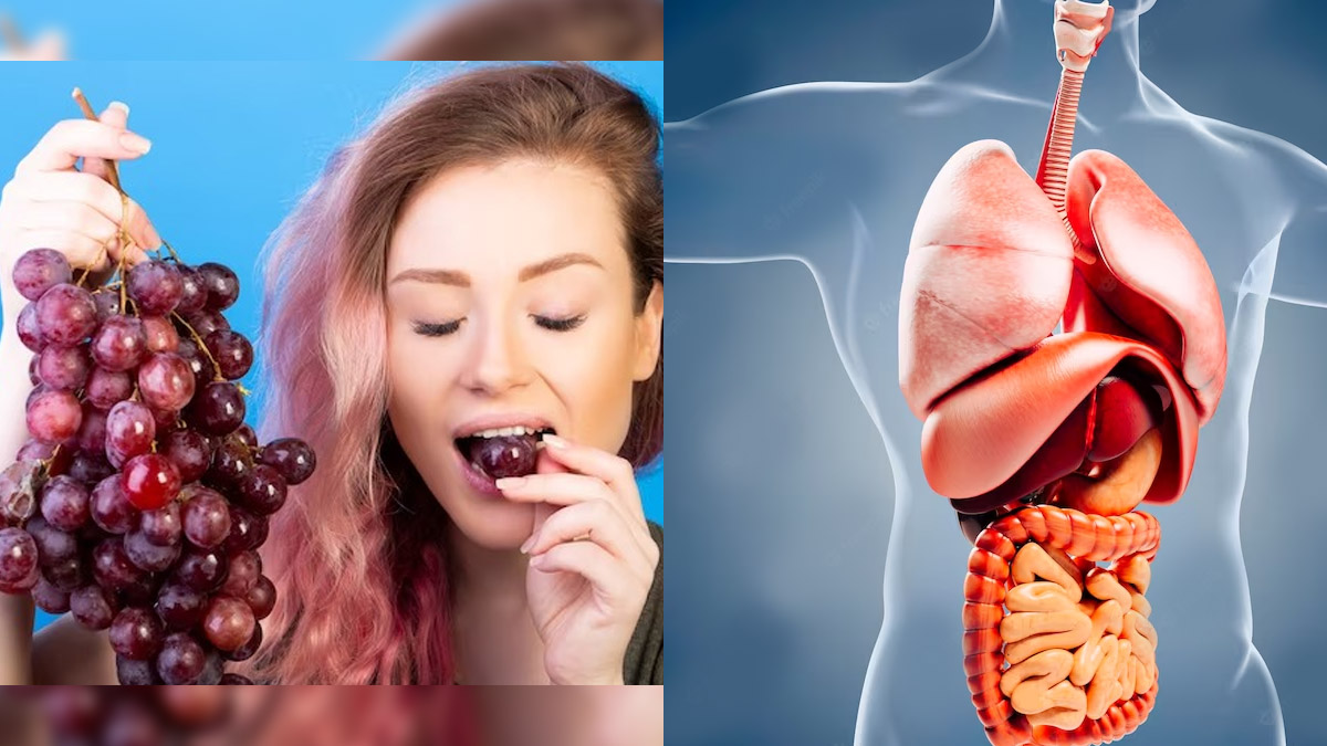 தினமும் வெறும் வயித்துல 5 திராட்சை பழங்களை சாப்பிட்டால்... உங்க