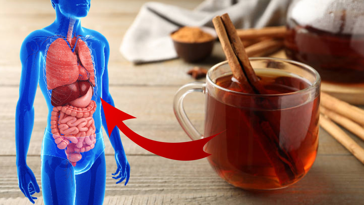 வெறும் வயிற்றில் ஒரு டம்ளர் பட்டை நீரை குடித்தால் உடலினுள் என்னென்ன