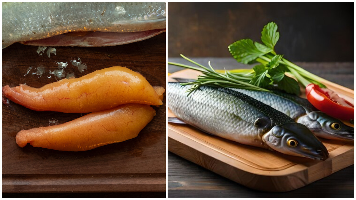 மீன் முட்டைகளை சாப்பிடுவதால் என்னென்ன நன்மைகள் கிடைக்கும்ன்னு தெரியுமா