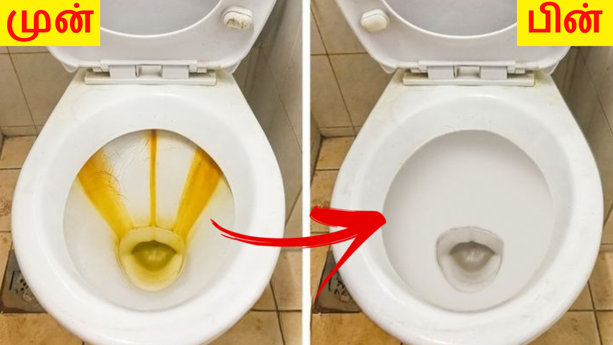 உங்க டாய்லெட்டில் மஞ்சள் கறை போகமாட்டீங்குதா? அப்ப இத வெச்சு க்ளீன்