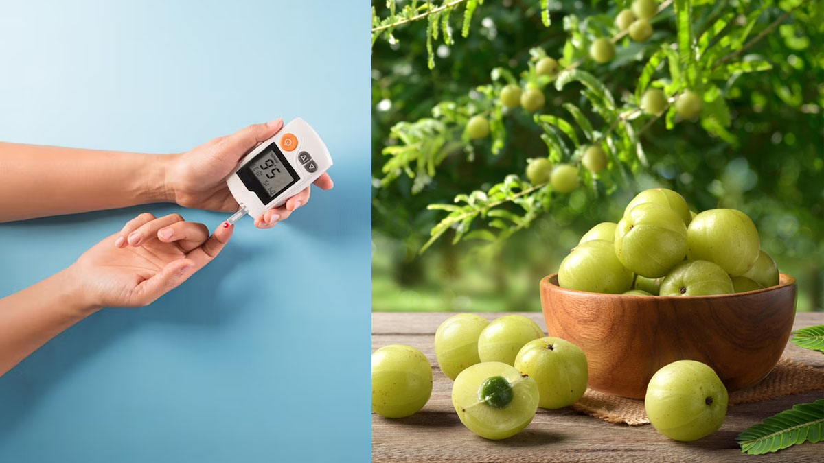 ஆபத்தான இரத்த சர்க்கரை அளவை குறைக்க நெல்லிக்காயை 'இப்படி' சாப்பிட்டா