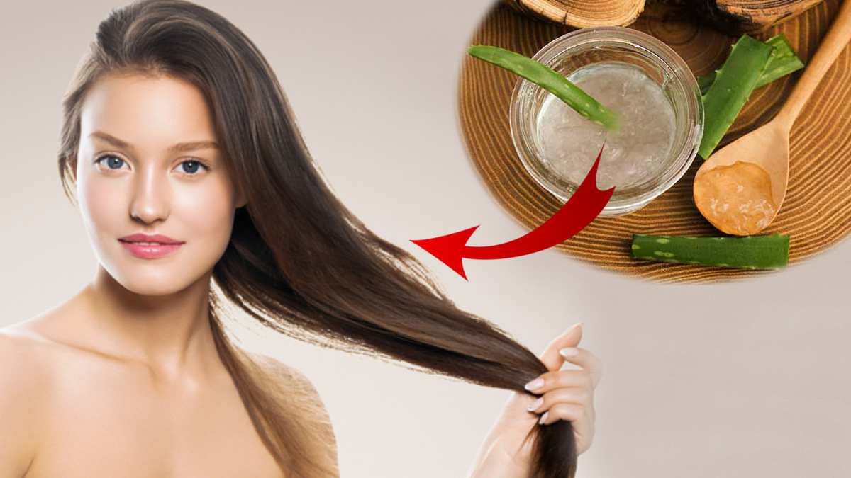 உங்க தலைமுடி எலிவால் மாதிரி மாறுதா? அப்ப கற்றாழையை வெச்சு இப்படி ஹேர்