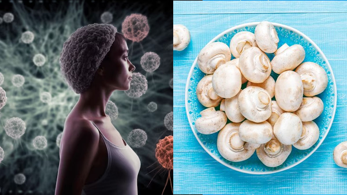 புற்றுநோயாளிகள் ஏன் காளானை சாப்பிட வேண்டும்? காளான் சாப்பிட்டு வந்தால்